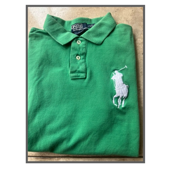 RALPH LAUREN POLO Big Pony Embroidered Mens SIZE LRG unique! - Picture 2 of 9